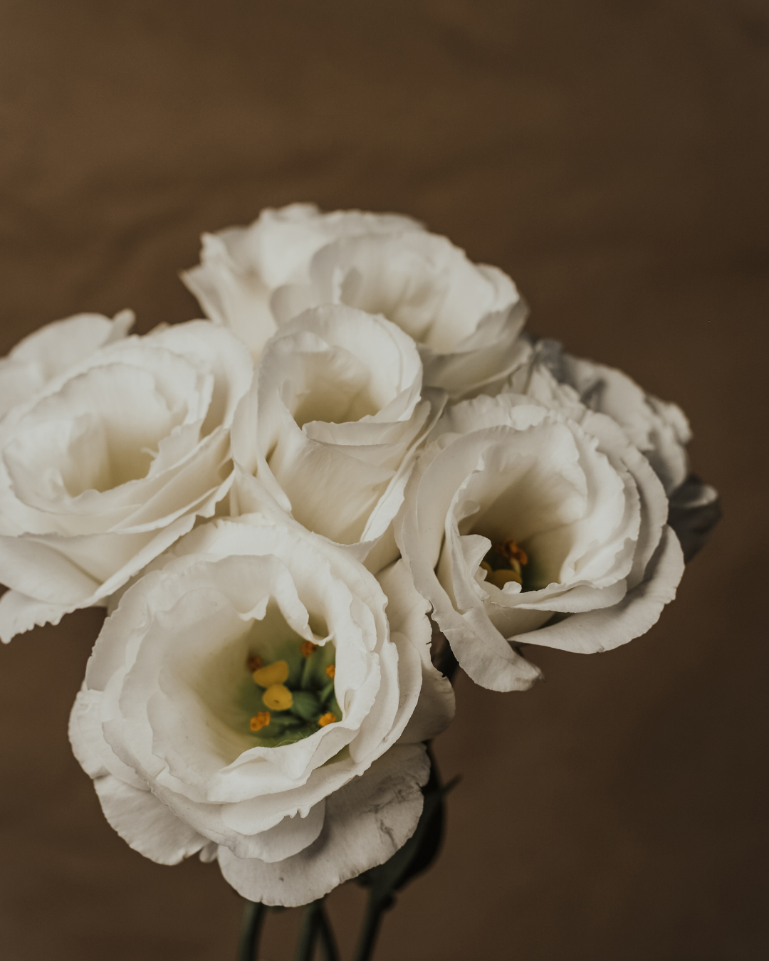 white roses to signify purity
